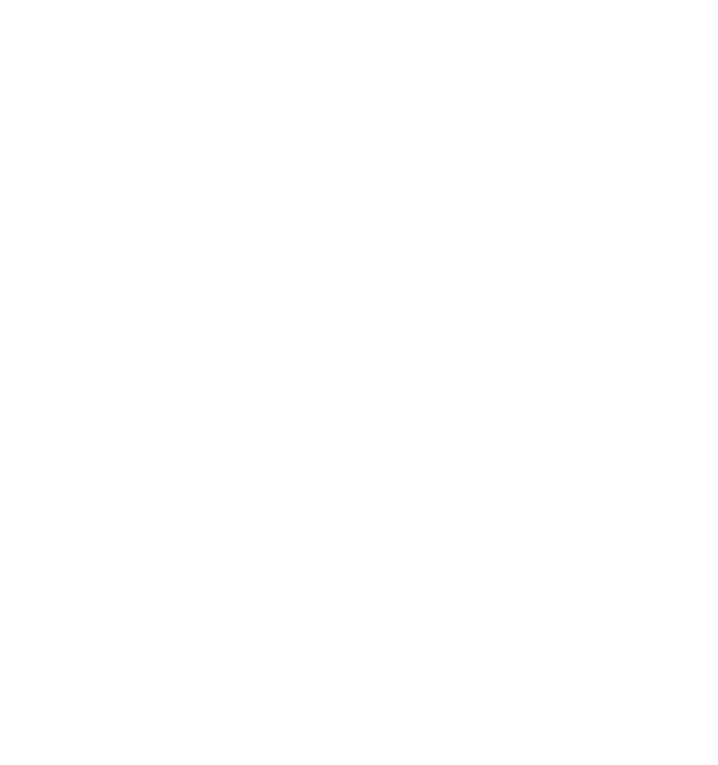 МИАРРА ПРОДЖЕКТ
